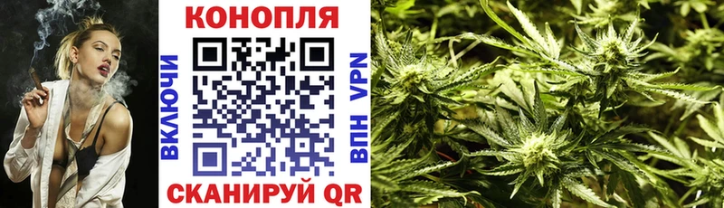 Бошки Шишки конопля  Арамиль 